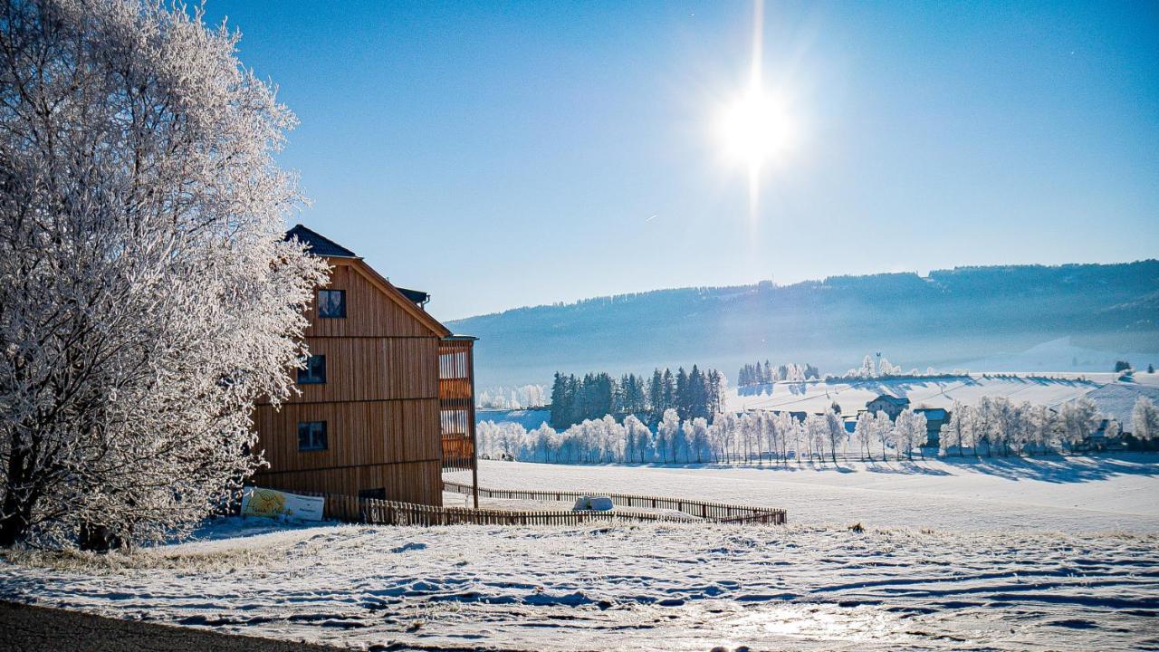 Apartmán Haus Weigt Mariapfarr Exteriér fotografie